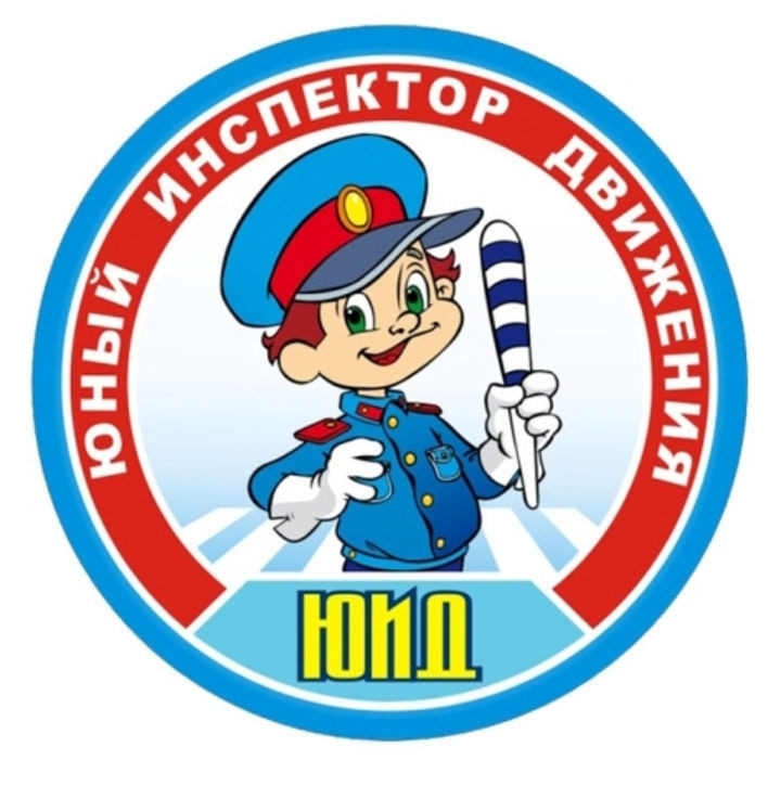 Учащиеся Новоселицкой СОШ принимают участие в проекте «Академия ЮИД».